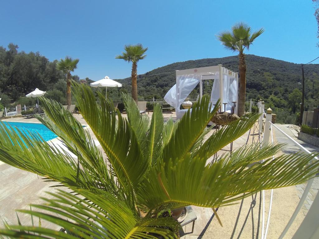Golden Sun Daire Parga Dış mekan fotoğraf